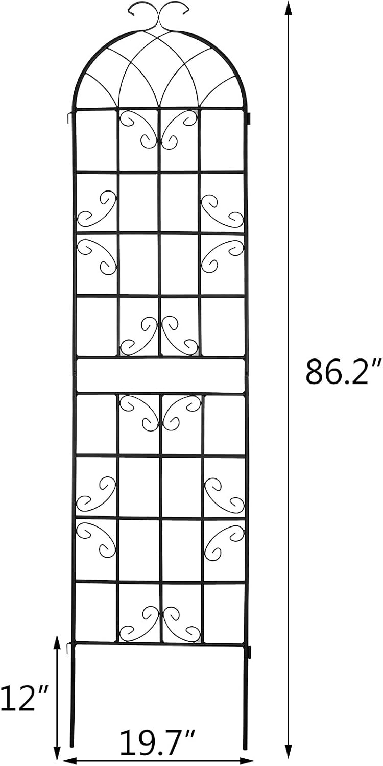 Large Metal Outdoor Climbing Plant Trellis