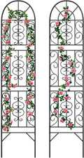 Sturdy Metal Outdoor Climbing Plant Trellis