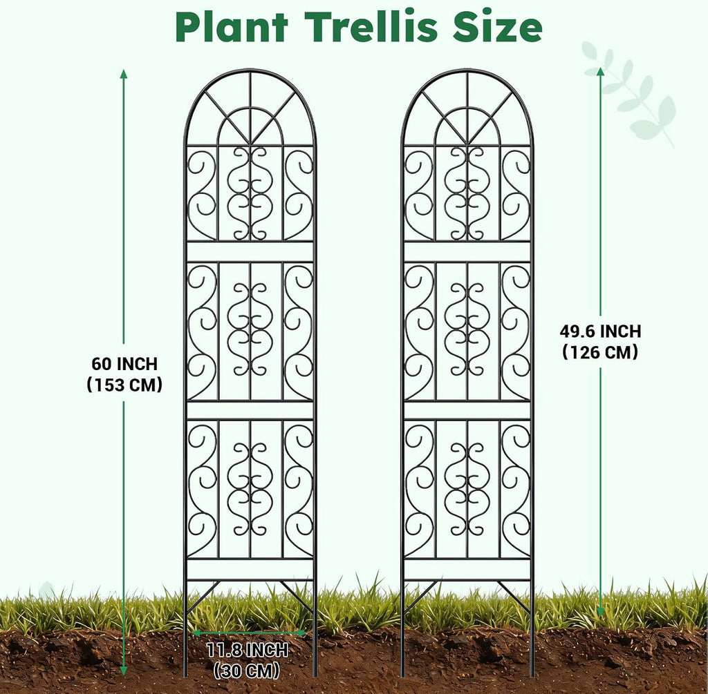 Sturdy Metal Outdoor Climbing Plant Trellis