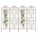 Rustproof Metal Outdoor Climbing Plant Trellis