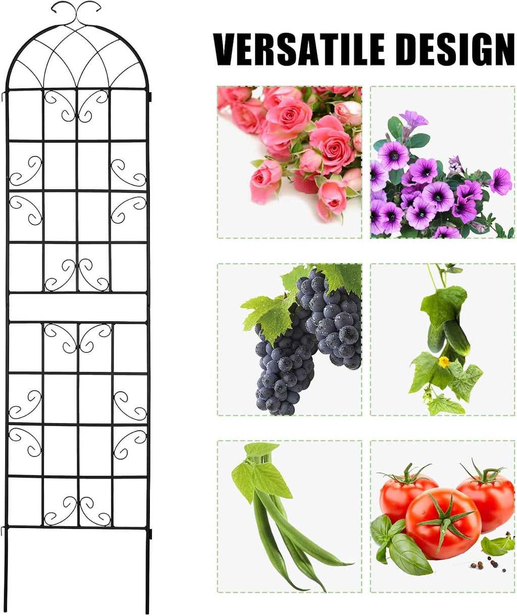 Large Metal Outdoor Climbing Plant Trellis