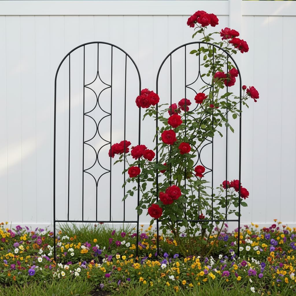 Arched Rustproof Metal Garden Plant Trellis