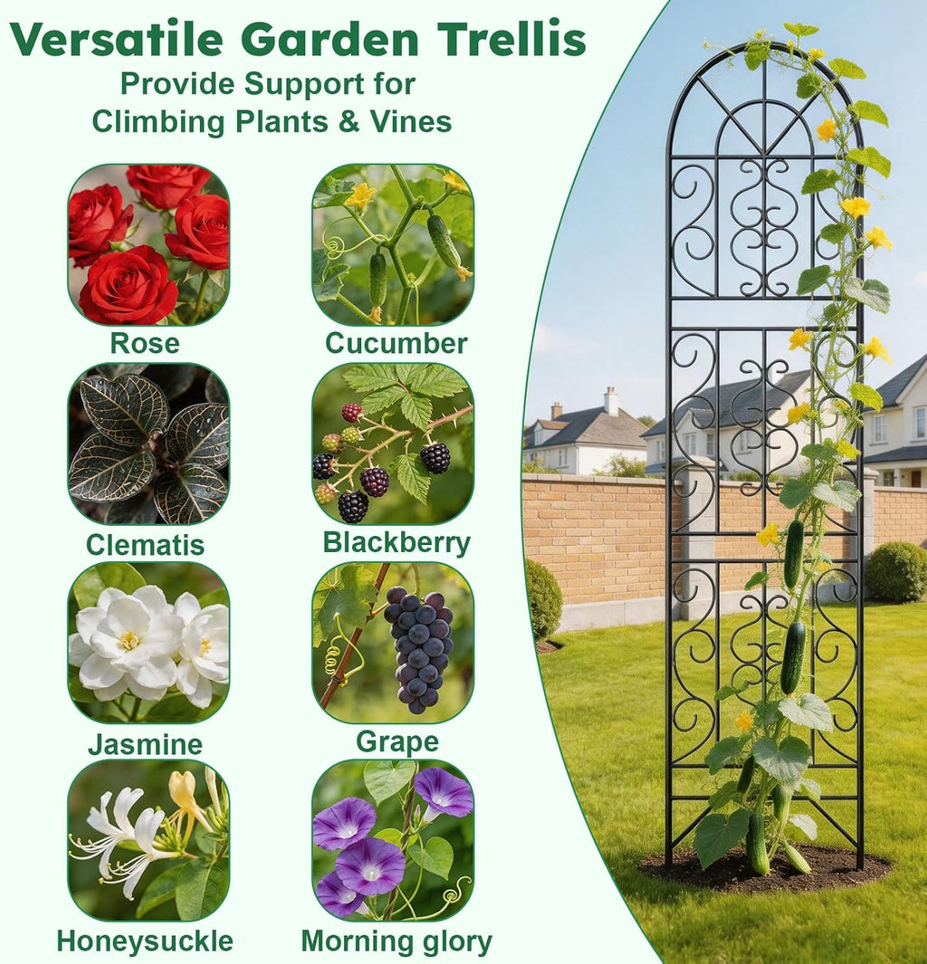 Sturdy Metal Outdoor Climbing Plant Trellis