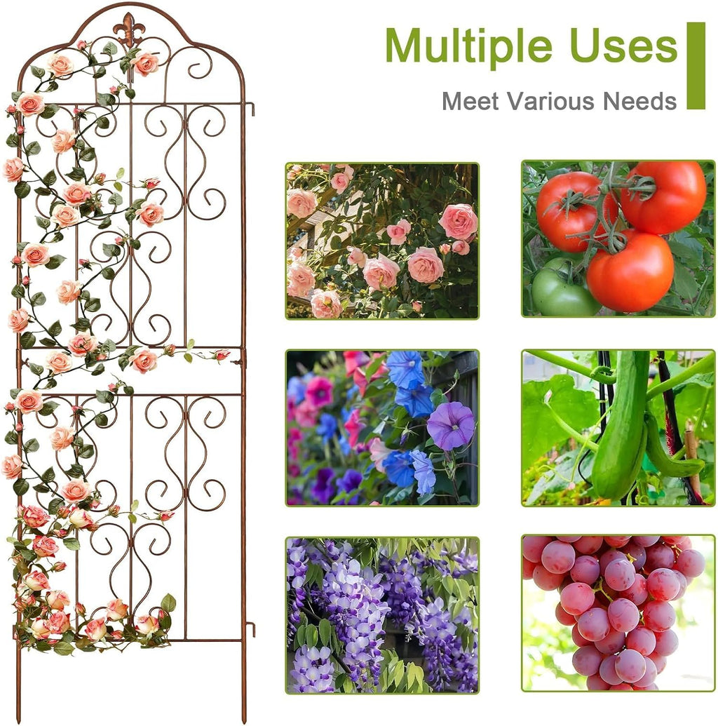 Rustproof Metal Outdoor Climbing Plant Trellis