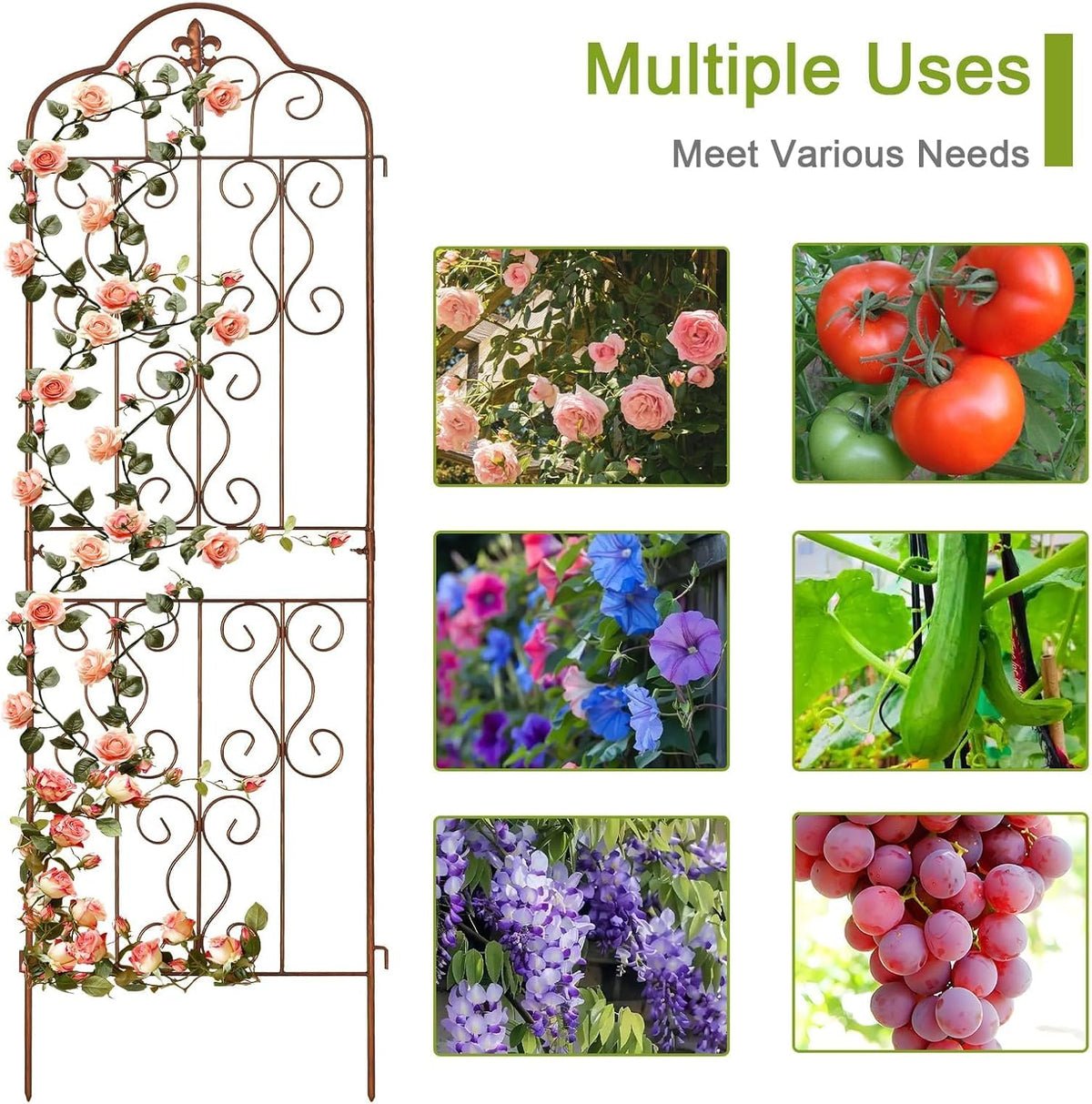 Rustproof Metal Outdoor Climbing Plant Trellis