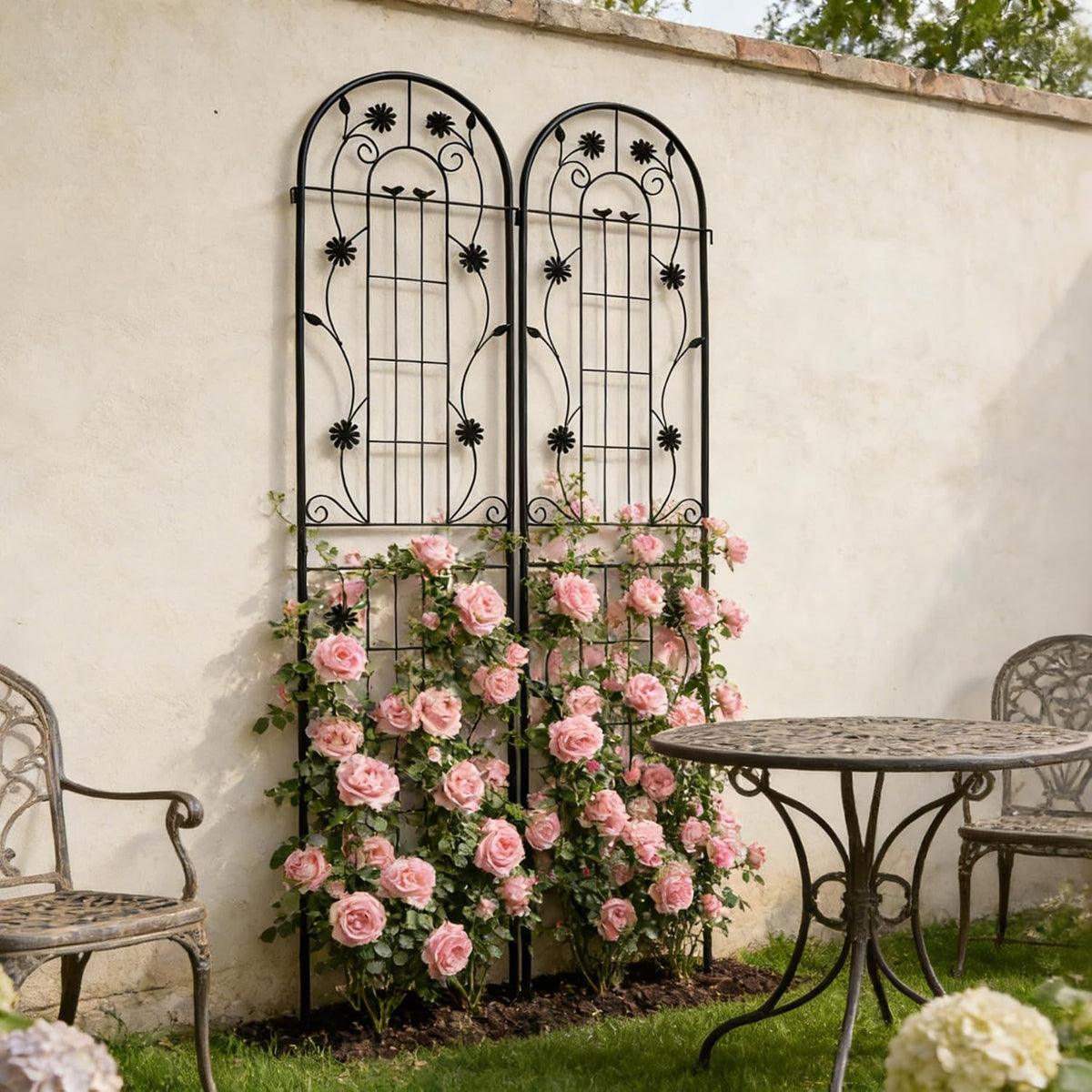 Rustproof Metal Garden Plant Trellis Frame