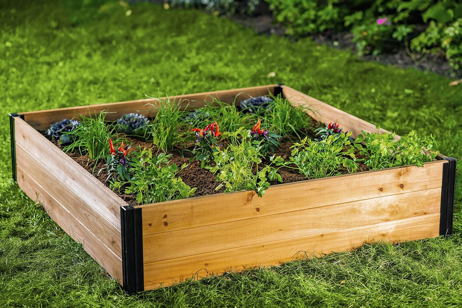 Modular Cedar Outdoor Raised Garden Bed