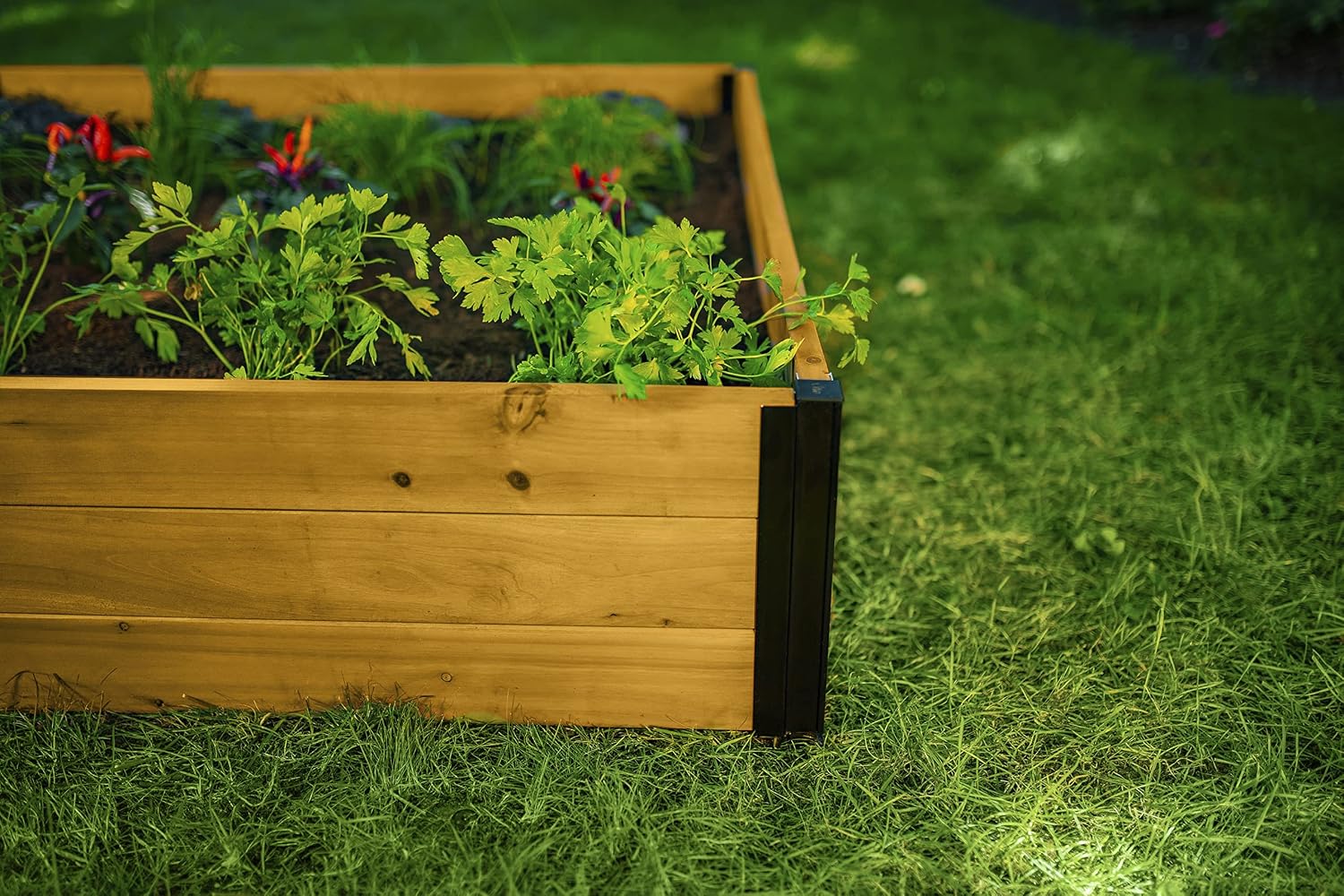 Modular Cedar Outdoor Raised Garden Bed